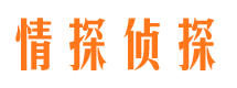 朝阳区情探私家侦探公司